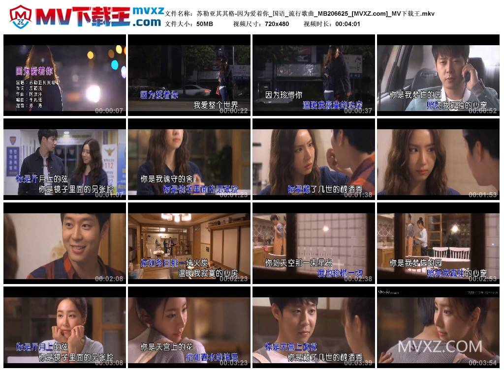 苏勒亚其其格-因为爱着你_国语_流行歌曲_MB206625